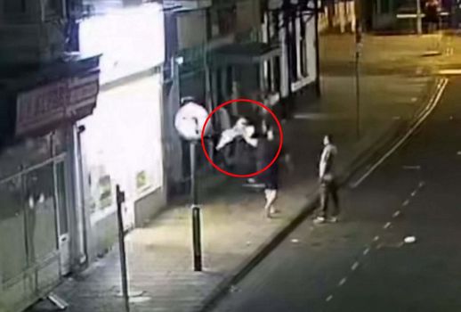 Thug attacks seagull