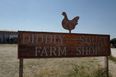 Clarkson’s Farm visitors expose what you don’t see on TV