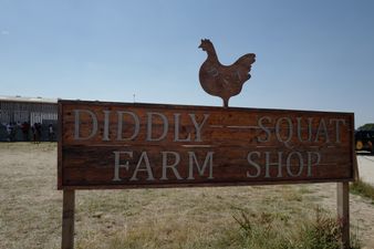 Clarkson’s Farm visitors expose what you don’t see on TV