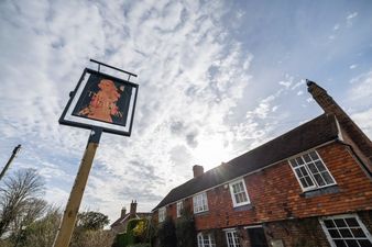 Jodie Kidd poses in the buff to make new pub sign for her local