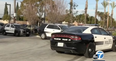 One-hour old baby found alive in a bin as police hunt for the mother