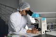 61-year-old man dies after being infected by killer plant fungus