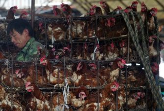 First human death from H3N8 bird flu recorded in China