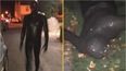 Man accused of being ‘Somerset Gimp’ set to appear in court today
