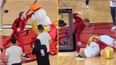 Basketball coach speaks out after Conor McGregor hospitalises mascot