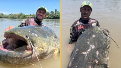 ‘Monster’ 2.85m catfish caught during epic struggle could be a world record