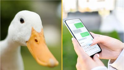 iPhones will stop autocorrecting ‘f**k’ to ‘duck’, Apple announces
