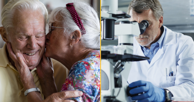 Alzheimer's Drug