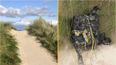 Package with £1.7million worth of cocaine found by walker on popular beach