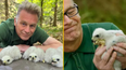 Chris Packham reported to police for sniffing wild goshawk chicks live on TV