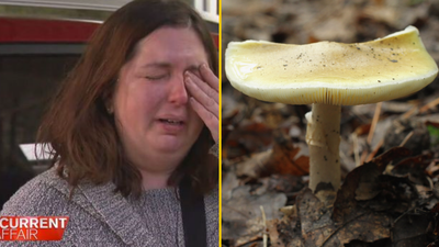 Five people sit down for a family meal – a week later three are dead