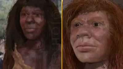 Incredible case of the only known individual whose parents were two different species