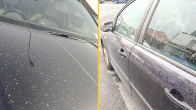 Met Office explains why your car is suddenly dirty today