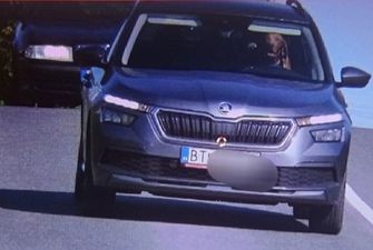 Car owner fined after dog pictured ‘driving car’