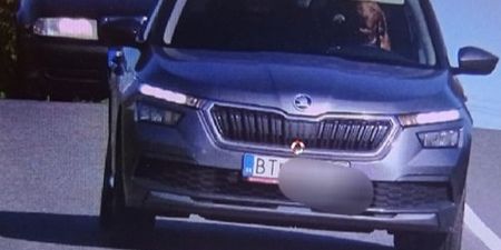 Car owner fined after dog pictured ‘driving car’