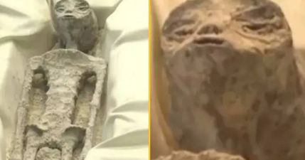 Scientist explains why ‘aliens’ presented in Mexico are probably fake