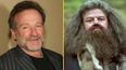 Robin Williams wanted to play Hagrid in the Harry Potter movies