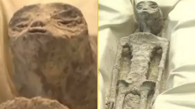 ‘Alien corpses’ unveiled by scientists in hearing showing ‘proof’ of extraterrestrial life