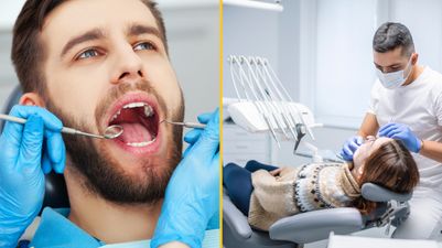 What the 1-8 numbers the dentist calls out while looking at your teeth actually mean