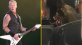 Dog runs away from home then watches entire Metallica show