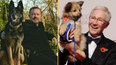Ricky Gervais and Amanda Holden considered for Paul O’Grady’s For The Love Of Dogs remake