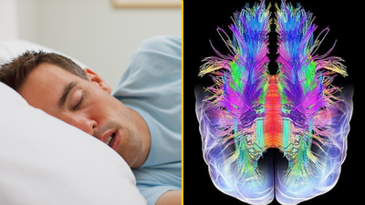 Scientists create device which lets you play back your dreams