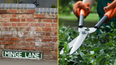 Minge Lane is set to undergo bush-trimming work