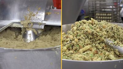 People left disgusted after learning how vegan meat is produced