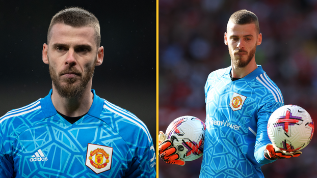 David De Gea