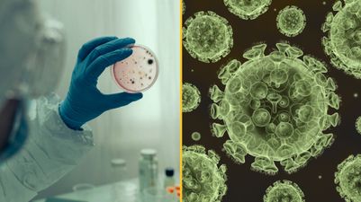 Never-been-seen virus discovered after man struck down with Malaria-like illness