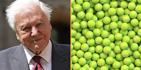 Sir David Attenborough is the reason why tennis balls are yellow