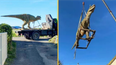 Dad accidentally orders 20ft dinosaur for son
