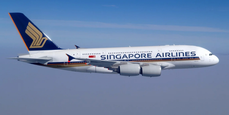 Couple demands refund after sitting next to a drooling and farting dog for a 13 hour flight