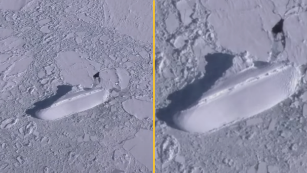ice ship in antarctica