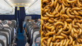 Plane forced to make U-turn after maggots rain down on passengers