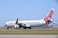 Airline to allow cats and dogs to fly in cabins alongside owners
