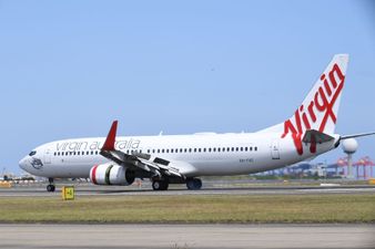 Airline to allow cats and dogs to fly in cabins alongside owners