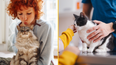 Cat owners warned of new law deadline that could result in £500 fine