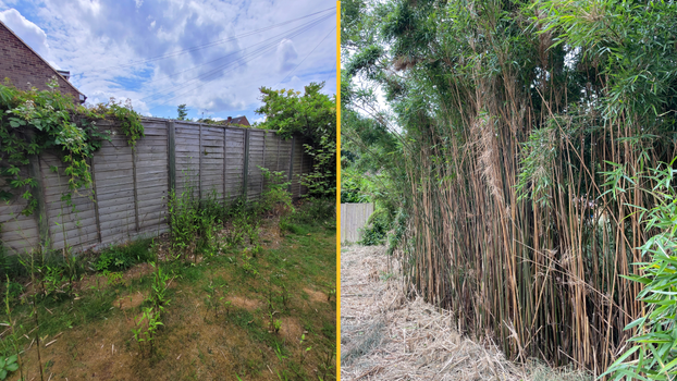 Woman immediately pulls out of buying first home after spotting 'huge red flag' in garden
