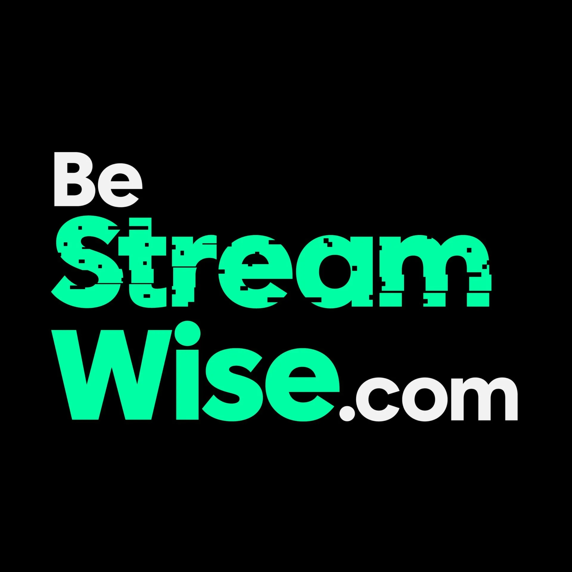 Logo Partner