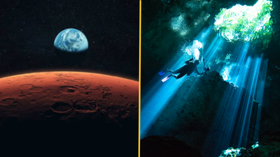 Harvard scientists say aliens could be living on earth in ‘stealth civilisation’