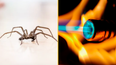 Man starts huge house fire after trying to kill spider with blowtorch