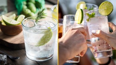 Gin and tonics can help relieve hay fever symptoms, science says