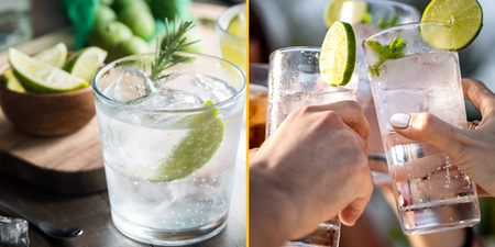 Gin and tonics can help relieve hay fever symptoms, science says