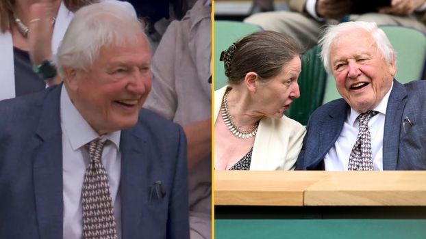 Sir David Attenborough receives standing ovation as he arrives at Wimbledon Centre Court