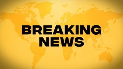 American Airlines plane bursts into flames as passengers evacuated onto wing