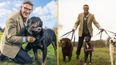 Channel 5 is looking for owners of naughty dogs to take part in Dogs Behaving (Very) Badly