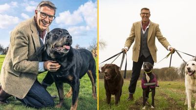 Channel 5 is looking for owners of naughty dogs to take part in Dogs Behaving (Very) Badly