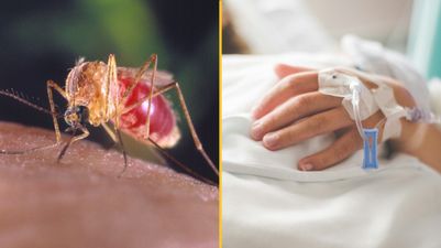 Brazilian virus that ‘kills people in their 20s’ reaches Europe