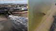Water companies face £168m fines for dumping sewage in rivers and seas